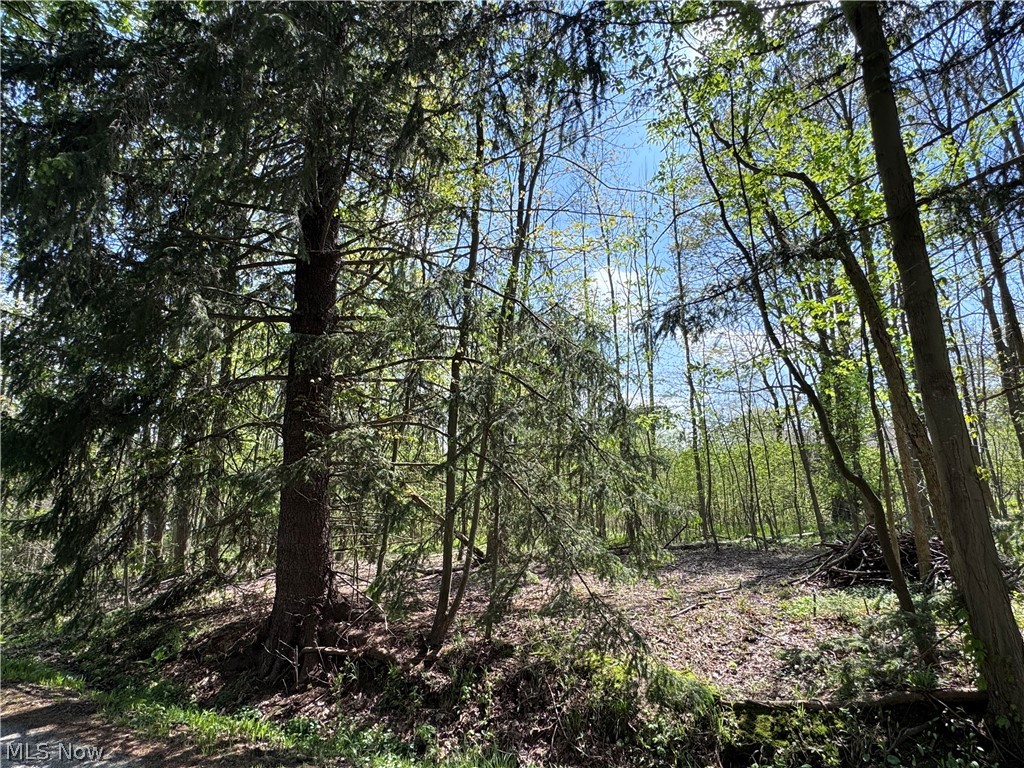 Whether you're looking for a peaceful getaway or to build a new home this is a great location. Bass lake Community lots are very scarce and not many are left. 

Bass Lake offers an optional HOA Membership that is Only $50/Year, granting access to the community pavilion. Bass Lake is open for electric boating, fishing & outdoor enjoyment. The pavilion is managed by the Geauga Park Dist. & is available to rent for special gatherings.