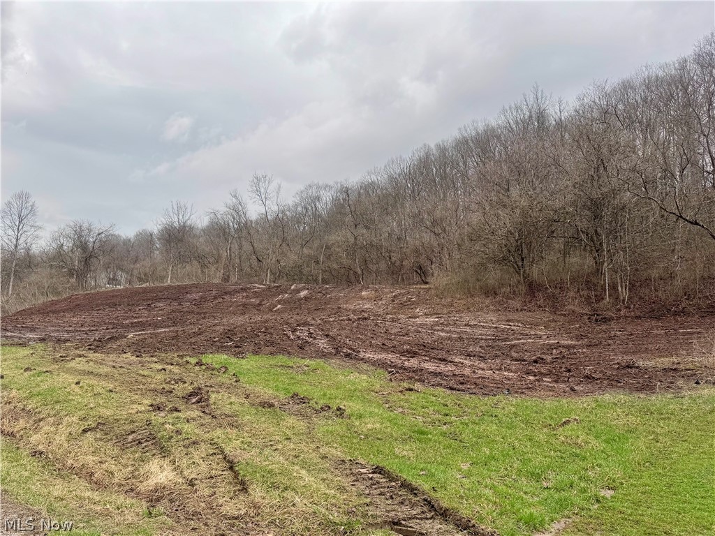 Build Your Dream Home on Lots #10 & #11 in a Peaceful Subdivision

Looking for the perfect place to build? Lots 10 & 11 on Wedgewood Drive offer 2.396 acres of cleared land, providing plenty of space to create the home and outdoor setting you’ve been dreaming about. Located in a quiet, established subdivision just outside the McConnelsville city limits, this property offers the ideal balance of peaceful country living with convenient access to town.

The lots have already been cleared and are ready for your new home, making it easier to start building right away. Tucked away from the hustle and bustle, the location provides a serene setting while still being close to shopping, dining, and everyday amenities.

Outdoor enthusiasts will love the proximity to Jesse Owens State Park, where you can enjoy fishing, kayaking, canoeing, and miles of scenic nature.

Property highlights include:

2.396 total acres (Lots 10 & 11 combined)

Cleared and ready to build

City water and sewer hook-ups available

Located in a quiet, established neighborhood

Convenient access to town and major routes

Close to Jesse Owens State Park and outdoor recreation

Some deed restrictions apply to help maintain the neighborhood’s appeal, but there are no HOA fees. If you’ve been searching for the perfect spot to build your dream home, this property offers the space, location, and setting to make it happen.

Don’t miss this opportunity—contact your agent today to learn more!