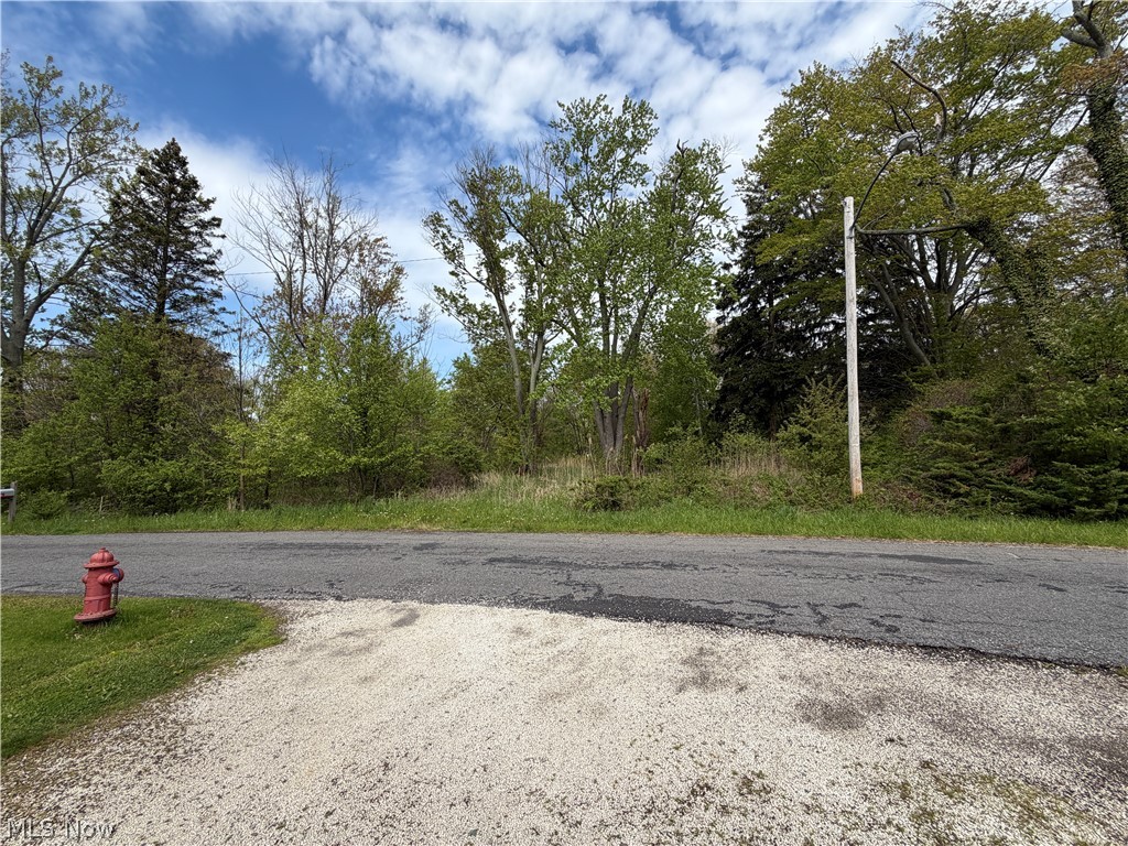 Discover the opportunity to create something truly special in the heart of Madison's Lake Erie Community. This listing includes 10
residential parcels totaling approximately 1 acre, just moments from the shoreline of Lake Erie and within walking distance to
Vincent William Winery. Previously home to a residence, the property already offers access to available utilities, creating strong foundation for future development. With road frontage and access from both the front and rear of the property, the layout provides flexibility for builders, developers, or buyers looking to design a private retreat near the lake. All 10 parcels are being offered together, with additional opportunities available for buyers interested in smaller parcel combinations. Whether you envision custom homes, an investment opportunity, or your own slice of Ohio wine country living, the possibilities here are endless.
Tucked in a charming lakeside setting with no HOA restrictions and outside of a flood zone, this property blends convenience,
location, and potential all in one rare package. Enjoy nearby wineries, marinas, parks, beaches, and the relaxing lifestyle that
makes Madison one of Lake County's hidden gems. Listing agent is also the owner/seller of property.