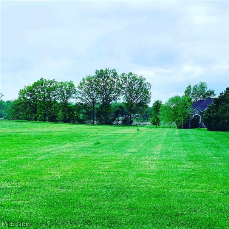 JUST LISTED!!  Beautiful 1.20 Acre Lot in Marlington Schools District on Immel Avenue in Marlboro Township. Feel free to walk the land. It's build ready! • Septic Approved • Driveway • Leveled and Cleared Lot • Finished Yard Drains •
