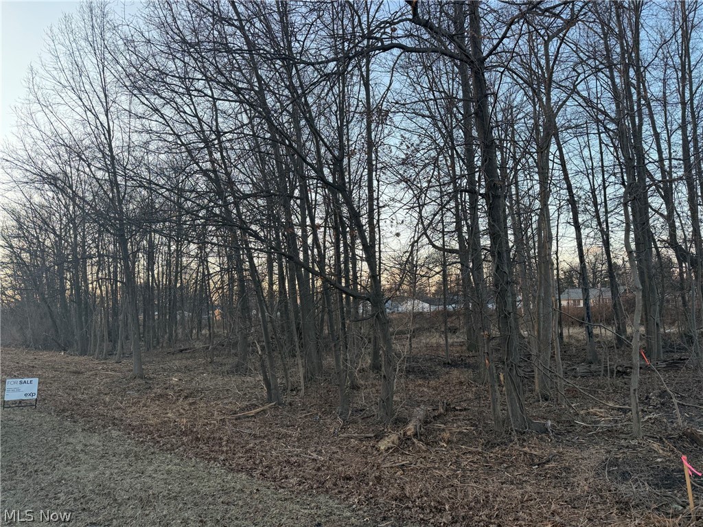 Vacant commercial land opportunity on Liberty Ave in Vermilion. Sale includes four parcels (see addendum for parcel numbers). Property has no assigned street address and is identified by parcel number. Level, unimproved land suitable for a variety of potential commercial uses, subject to zoning and buyer due diligence. Utilities and site conditions to be verified by buyer. Adjacent parcels may include designated wetland areas; no wetland delineation or designation is known for the subject property. Buyer to perform all inspections and due diligence prior to purchase.
