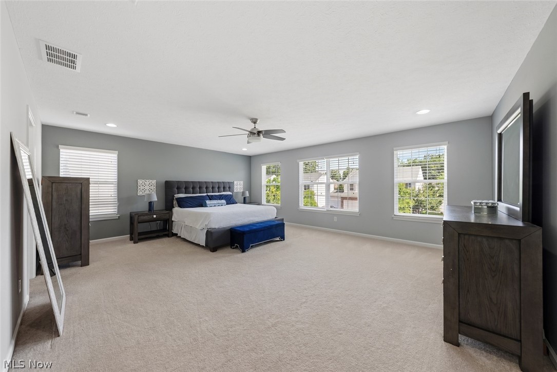 Belden Pointe - Residential
