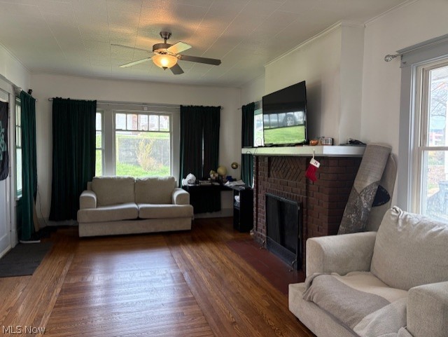 Buena Vista Heights - Residential