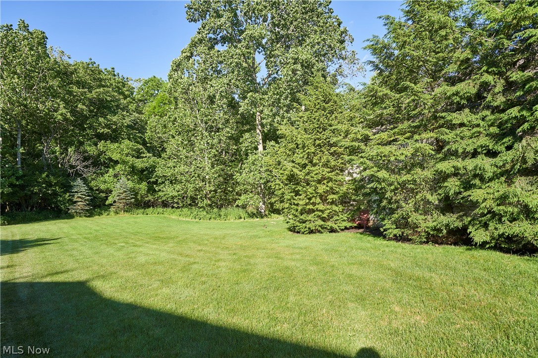 Brook Hollow Preserve - Residential
