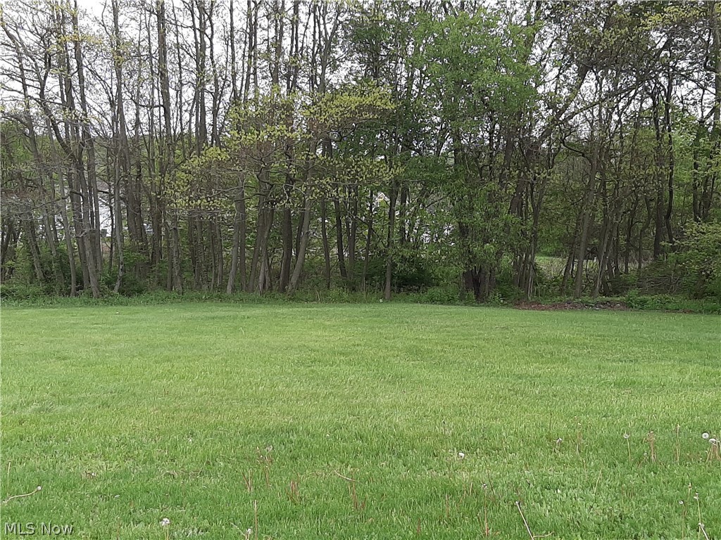 Nice well-cared for residential double lot in the city.  Rear of lot lined with trees for privacy. Lot outside of Georgeview Estates where new homes were just built in 2025. Owner has blueprints for a walk-out home that was drawn up for this lot or build any style to suit. There are two lots combined that must be sold together. Build now to quality for a 15-year tax abatement through the city. Call listing agent for more details.