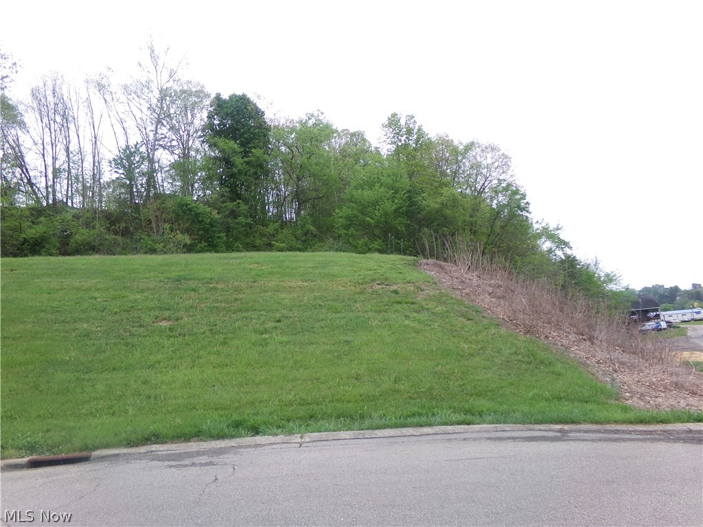 This is 1.455 Acres in the Airy View Subdivision and is lot number 5030. If you are looking for a building lot you need to view this property . City water and sewer are available .Call  Today to view this building lot.