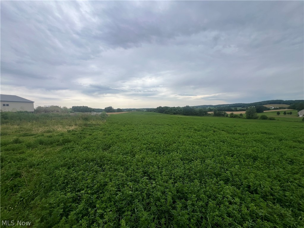 Refugee Lands - Land