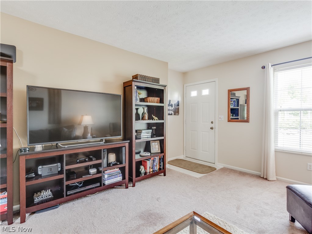 Parkside/Eastwood Village Condo - Residential