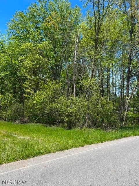 Canfield Township 04 Div - Land