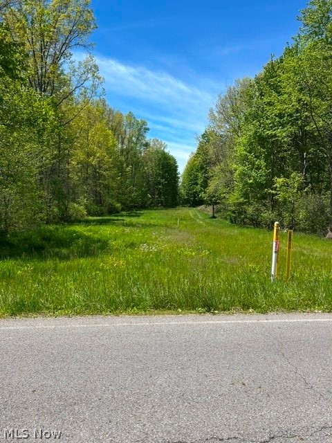 Canfield Township 04 Div - Land