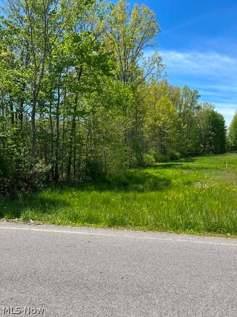 400 ft gravel drive already installed at a cost of $25,000. Lot has been engineered for septic. Great lot on low traffic street, but close to shopping and entertainment.