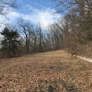 Brittain  Heights - Land