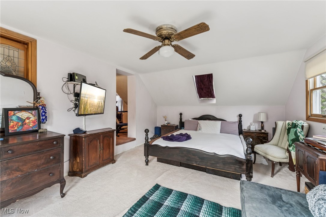Mcchesney Heights - Residential