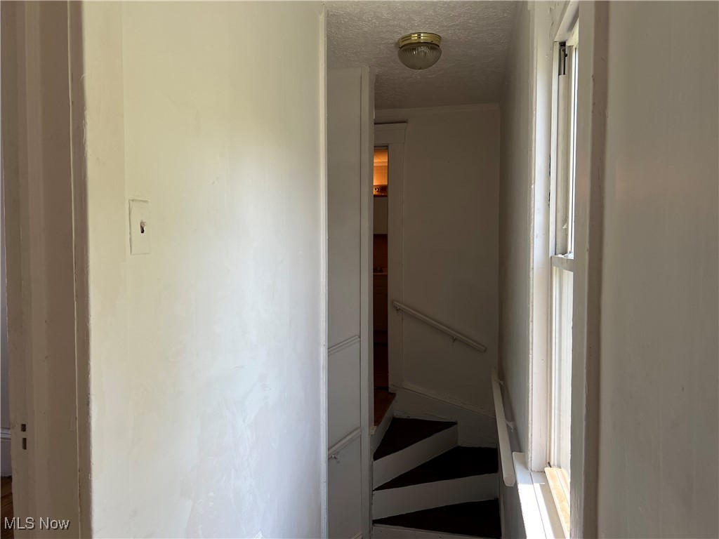 Curtiss Ambler Realty Co - Residential