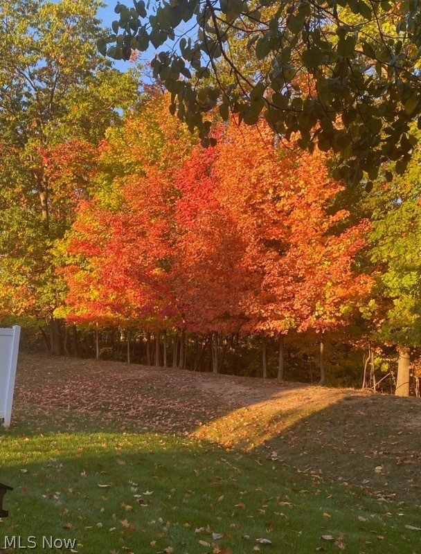 Arbor Park Condo - Residential