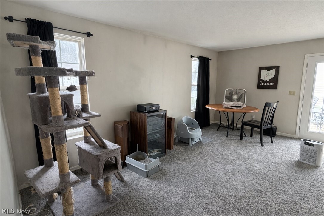 Village/Scioto Mdws Condo - Residential