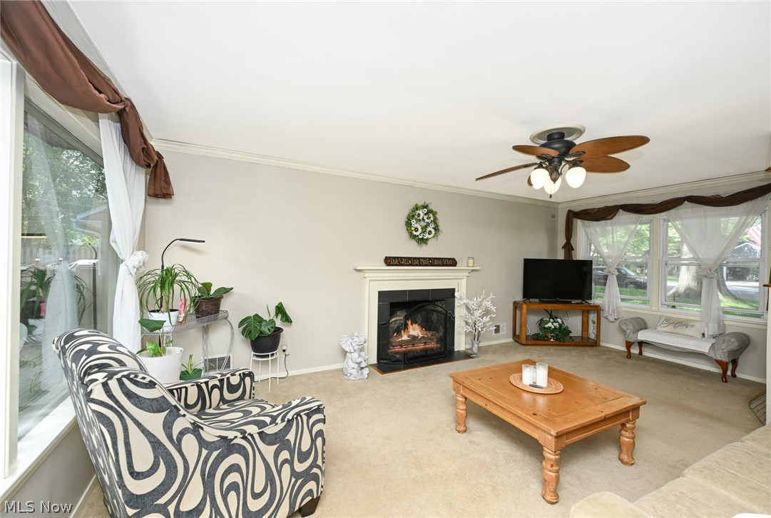 Taft & Blackmans Kew Gardens - Residential