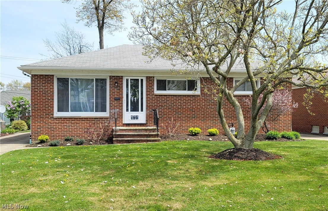 Move in ready!!!! Updated throughout 3 bedroom 2 full bathroom ranch. Open living room into kitchen.  Newer appliances with white cabinets for a bright and airy kitchen. Lovely espresso hardwood floors throughout.  Updated main floor bathroom with glass shower doors.  Spacious bedrooms and plenty of storage.  Finished basement to complete your entertaining needs. One half can be a kitchen and the other side a stylish bar. The exterior has a nice backyard for plenty of outdoor dining and entertaining.  This beauty is just awaiting to be moved in and enjoyed!