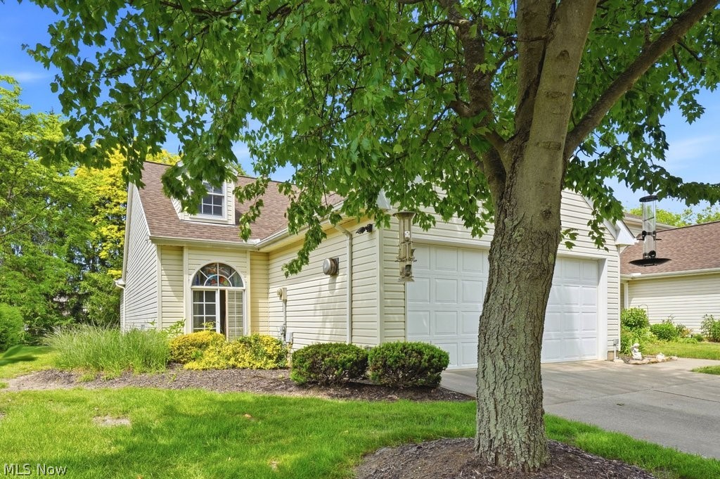 Springfield Commons Phase 2 - Residential