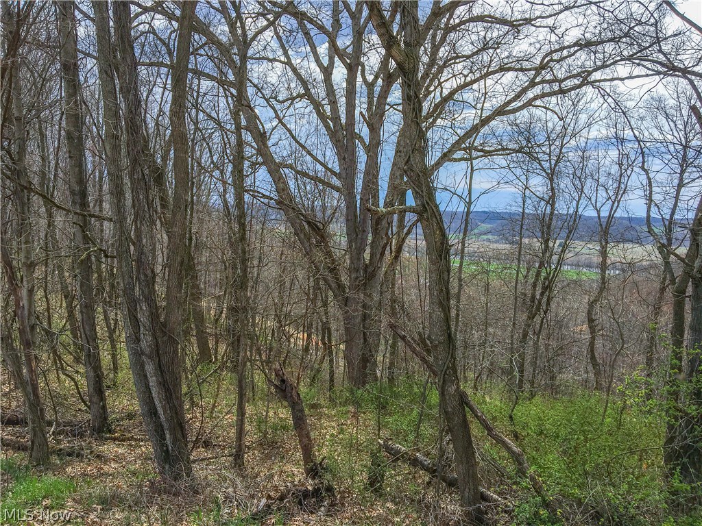 Auction 10/1- Secluded ridgetop farm with excellent road frontage, mineral rights, & marketable timber. This land is set up for fall hunting with tree stands, food plots, and everything you need to enjoy this year.  Parcels range in size from 7.8 to 22 acres with each mostly wooded sites. Walk this land at your convenience and pick out that perfect cabin or home site as well as your private hunting spot. Land is becoming a premium and rarely gets offered with timber & mineral rights included so don’t wait for this one to pass you by. 10% buyer’s premium. Buyer is responsible for any CAUV recoupments.
Parcel 1: 7.8 Acres w/ 556’ Frontage. 
Parcel 2: 9.8 Acres w/ 686’ Frontage.
Parcel 3: 19.2 Acres w/ 1119’ Frontage.
Parcel 4: 22.1 Acres w/ 1119’ Frontage.
Parcel 5: 22 Acres w/ 940’ Frontage.
Parcel 6: 18.2 Acres w/ 778’ Frontage