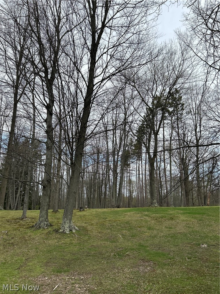 Beautiful 3.2-acre property in Orwell, Ohio offering a serene, park-like setting with mature trees and a creek gently running through the land. This peaceful property provides the perfect backdrop to build your dream home and enjoy nature right in your own backyard. The lot measures approximately 215 x 648 and consists of two parcels, with 1.27 acres in the township and 1.925 acres within village limits. Convenient access to city water, sewer, natural gas, and cable internet makes building easy while still enjoying a quiet, spacious setting. A charming gambrel barn (20' x 12') is already in place with a loft, ideal for storage, hobbies, or workshop space.
If you're looking for space, natural beauty, and a tranquil setting, this property is a must-see.