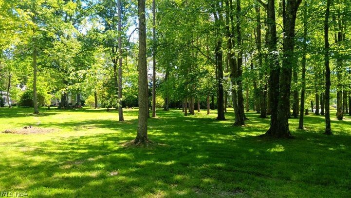 Beautiful 3.2-acre property in Orwell, Ohio offering a serene, park-like setting with mature trees and a creek gently running through the land. This peaceful property provides the perfect backdrop to build your dream home and enjoy nature right in your own backyard. The lot measures approximately 215 x 648 and consists of two parcels, with 1.27 acres in the township and 1.925 acres within village limits. Convenient access to city water, sewer, natural gas, and cable internet makes building easy while still enjoying a quiet, spacious setting. A charming gambrel barn (20' x 12') is already in place with a loft, ideal for storage, hobbies, or workshop space.
If you're looking for space, natural beauty, and a tranquil setting, this property is a must-see.