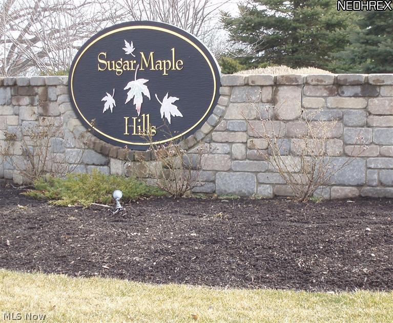 Sugar Maple - Land