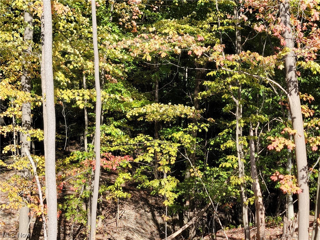 City/Broadview Heights - Land