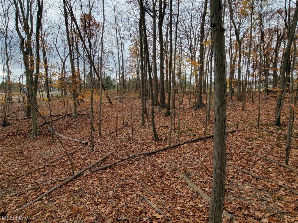 City/Broadview Heights - Land