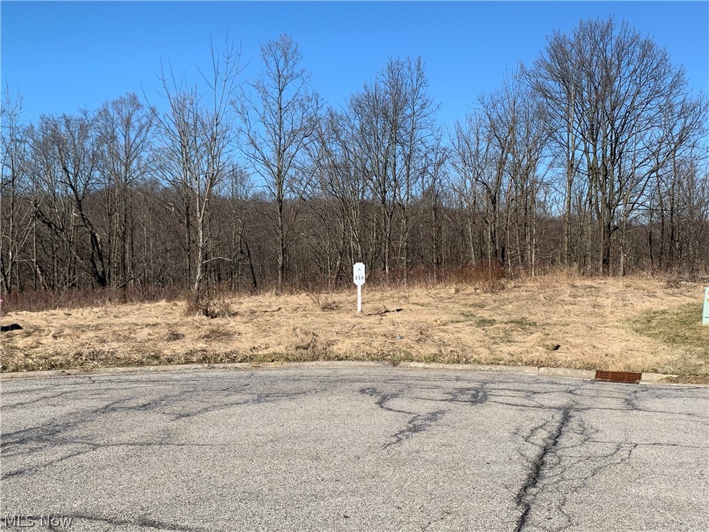 Bring your own builder! City water and sewer! Located in Richfield (Revere Schools). No deadline for starting your build. Beautiful wooded lot with ravine in highly sought after Glencairn Forest. Side and/or rear walk out basement is possible. Incredibly convenient location within 35 minutes of downtown Cleveland, Akron, Hudson, Lakewood, Chagrin Falls, Kent, Medina and 2 major airports. Don't miss your chance to be part of this extraordinary community. Current owner has plans for a 3 bedroom Ranch with walkout lower level. Contact listing agent for more details.
