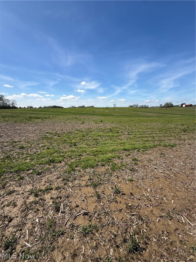 Build your dream home on this beautiful 8-acre vacant land parcel. Located in Marshallville/Chippewa Twp., this property offers the ideal setting for a custom home, hobby farm, or private retreat with plenty of space and flexibility. Enjoy the benefits of rural living while still being within a convenient distance to shopping, dining, and major routes. Property is currently being split and is subject to final survey, township, and county approvals. Great opportunity for buyers, builders, or investors looking for land for sale in Wayne County, Ohio.