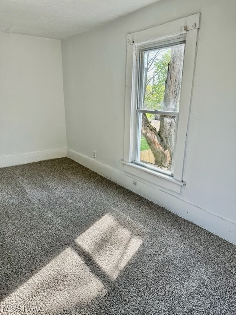 Sweitzer & Steiner 02 Allotme - Residential Lease