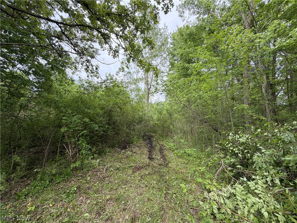 Madison Village 02 - Land