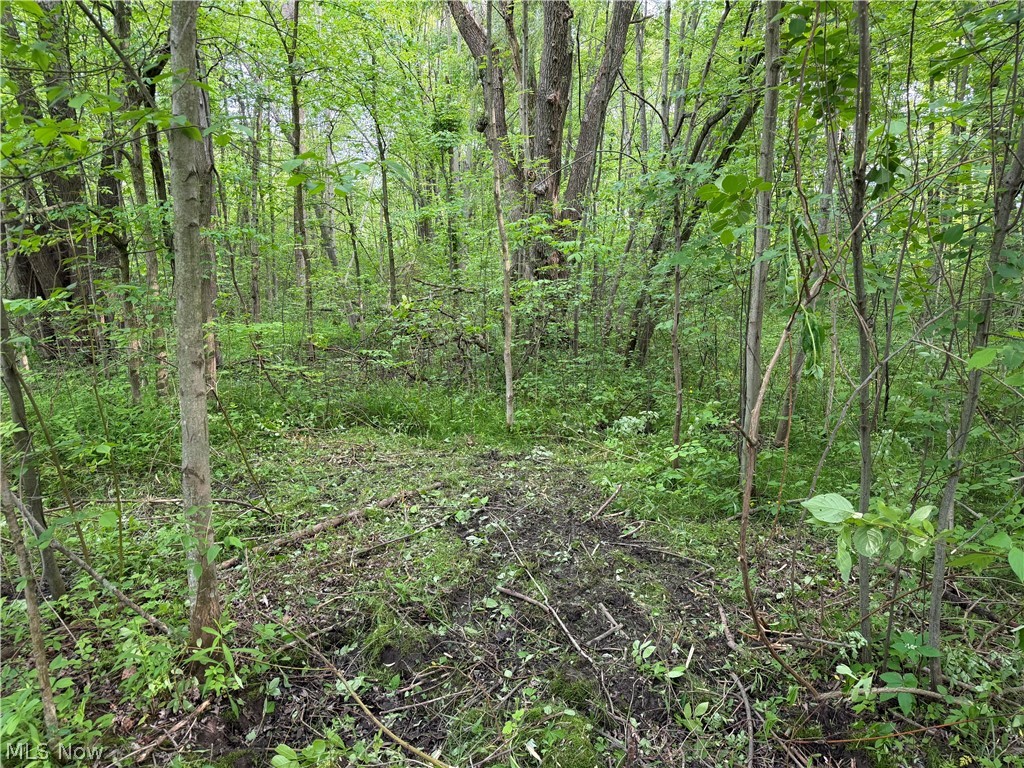 Madison Village 02 - Land