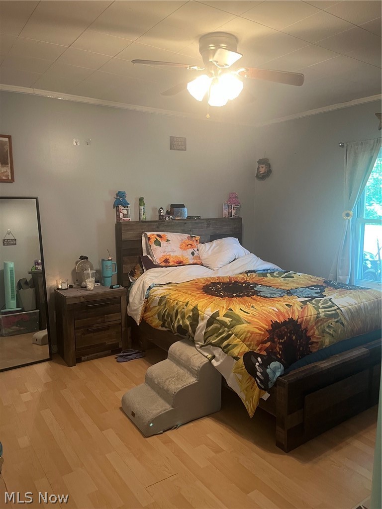 Massillon - Residential
