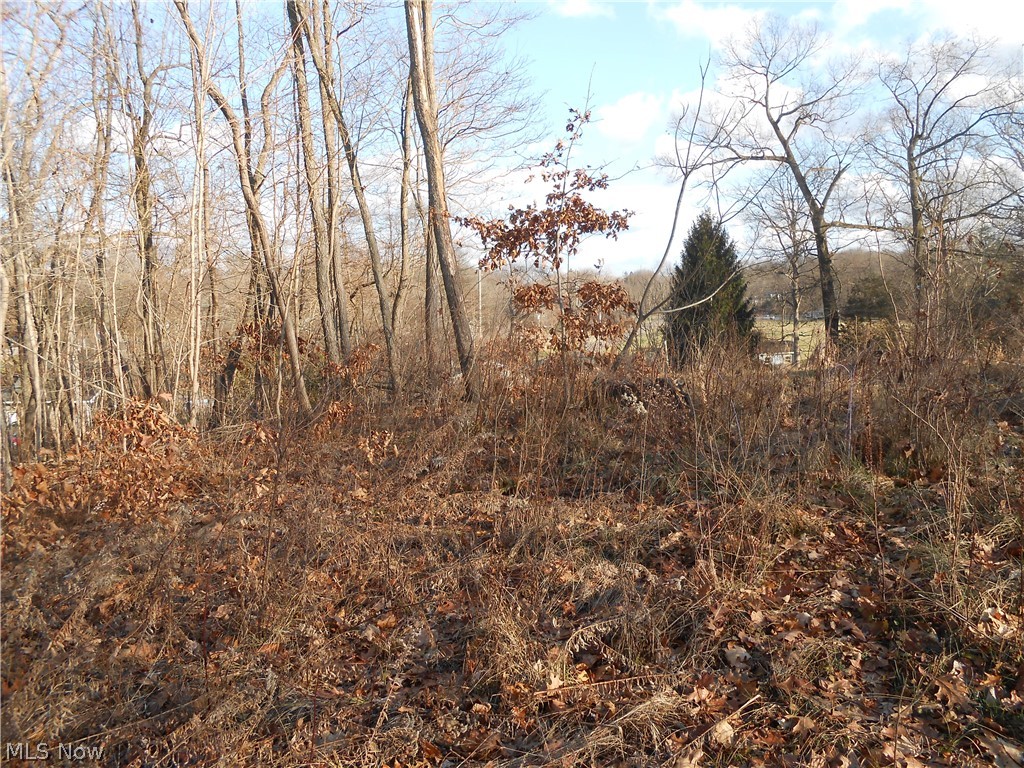 Brady Lake Park Allotment - Land