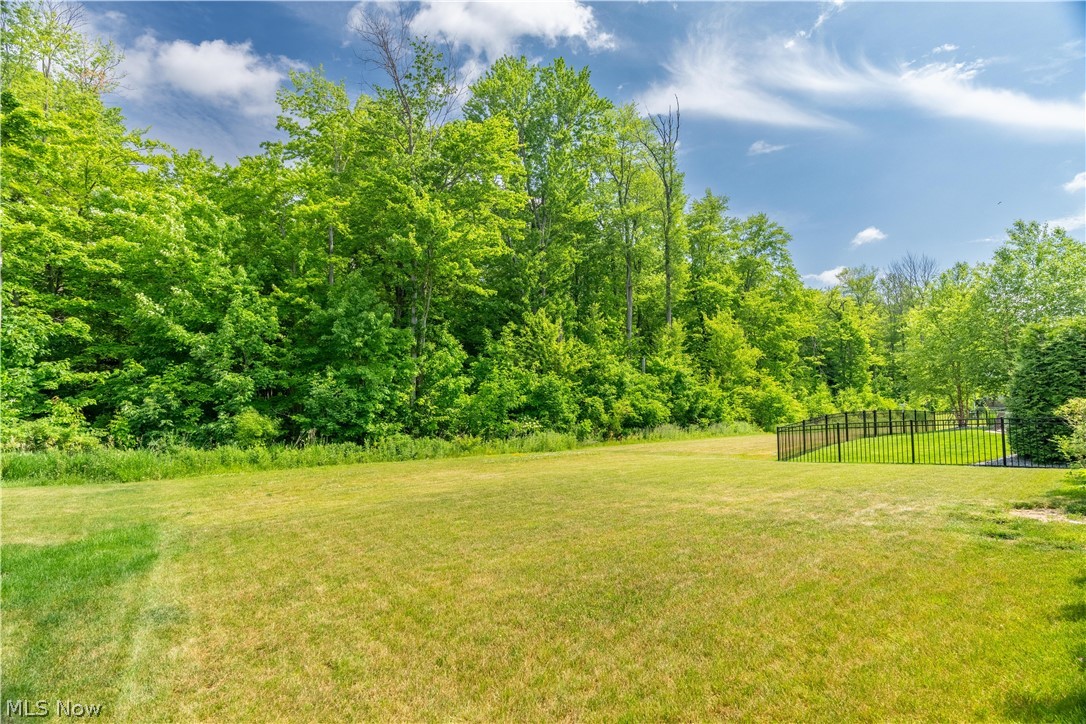 Blooming Acres Sub Ph 3 - Residential