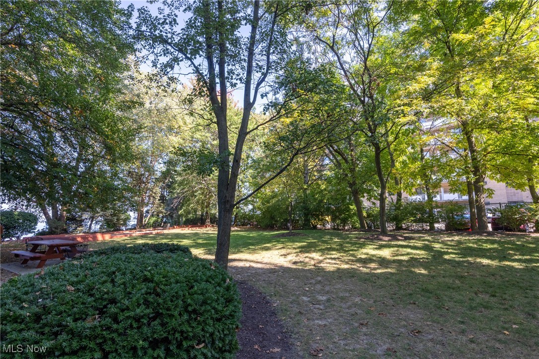Bonneville Tower Condo - Residential