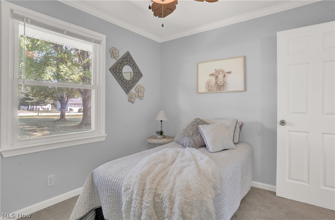 Hale - Residential
