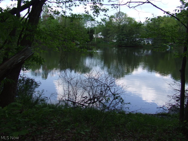 Rare, vacant land located on Marion Lake, on Cuyahoga Falls/Akron boarder. 2 parcels, approximately 7.57 acres, some on the water, ready for you to purchase and build your dream home. Property actually has Marion Lake on one side and Little Beaver Pond on the other side, plus lots of woods in between.  Seller is working on having non-dedicated road removed so parcels would be connected.