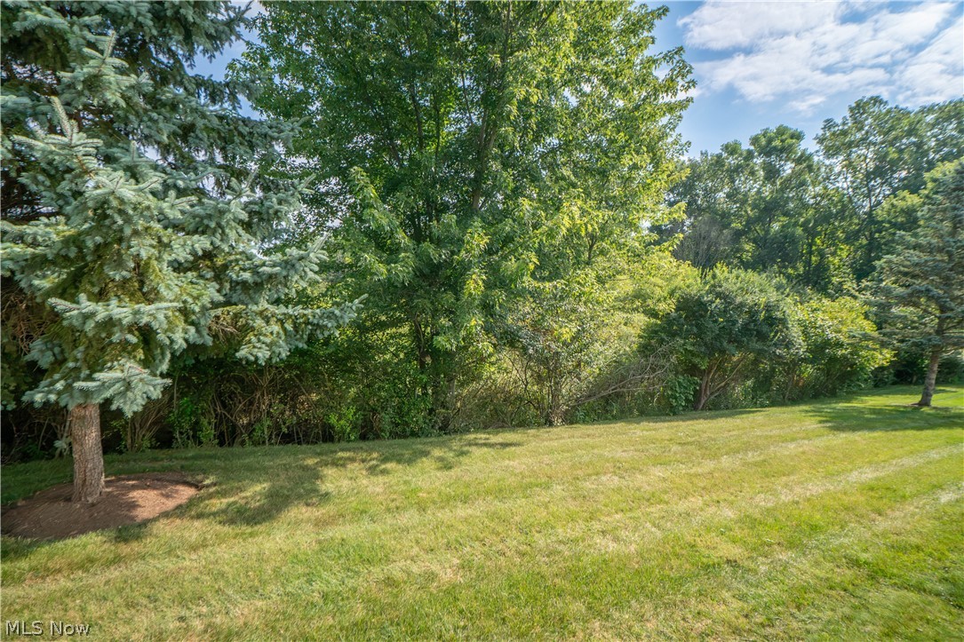 Burnham Hills Condo - Residential