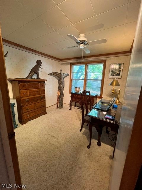 Channel Grove - Residential