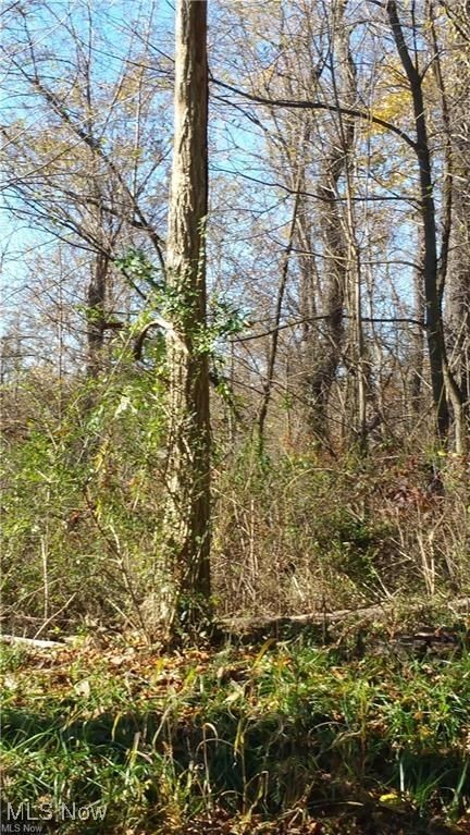 Nice 1.04 acre building lot located outside of city limits and next to the Rolling Hills Subdivision. This is a gorgeous relatively level wooded lot where you can build your dream home.