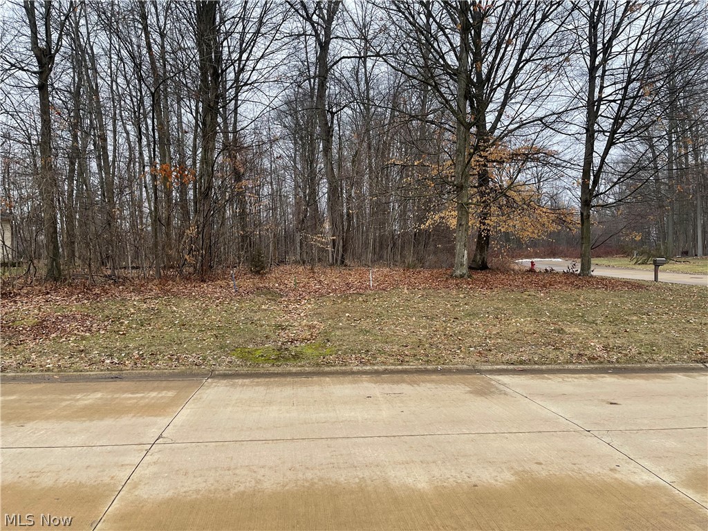 Stony Brook - Land