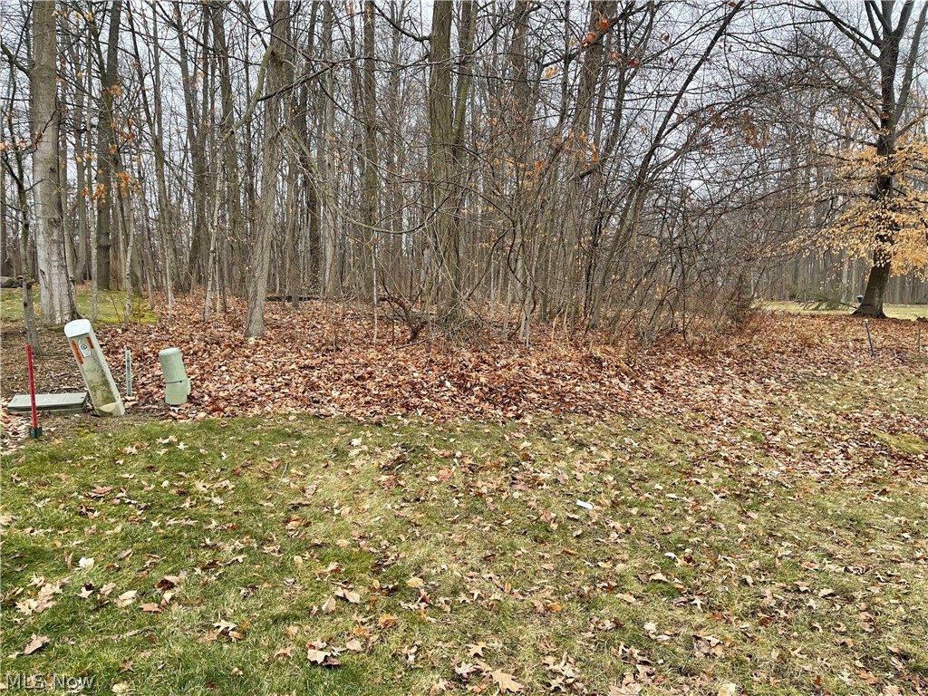 Stony Brook - Land