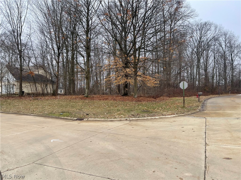 Stony Brook - Land