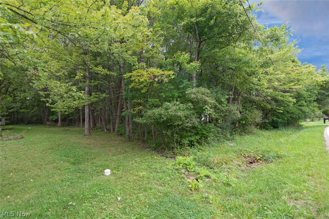 Ridgeville - Land
