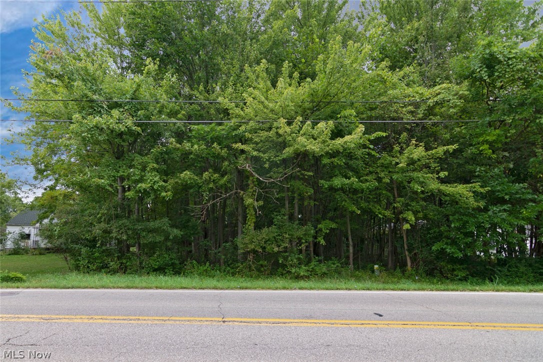 Phenomenal opportunity to build your dream home on a serene 0.84 acre lot in North Ridgeville! Located on Case Road north of Center Ridge Road, this home is just minutes away from Sandy Ridge Reservation and area shopping and dining destinations.