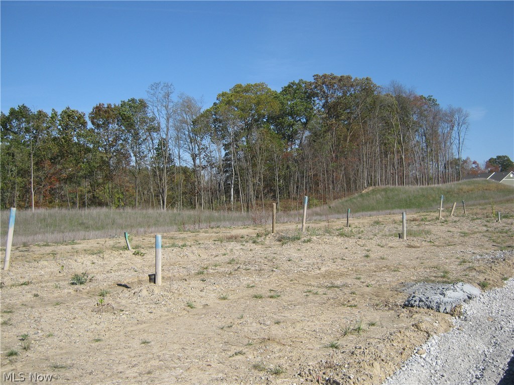 The Enclave at Old Mill Pond - Residential