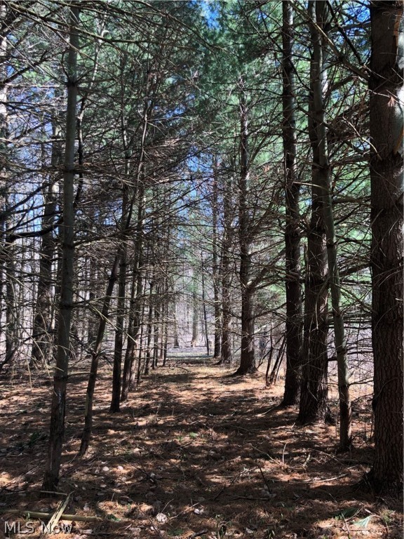 Two beautiful wooded parcels waiting for one or more homes to be built on them! The parcels are 19.23 and 13.01 acres, located in quaint Chester Township in Chesterland.  This beautiful area is a nature lovers dream, in a quiet and serene community. Whether you are raising a family or wanting to build your forever home, this land will give you the ability to enjoy the best that nature has to offer, and the privacy along with it!  Schedule an appointment to come walk this beautiful property and envision your future home! 
Listing agent is related to sellers